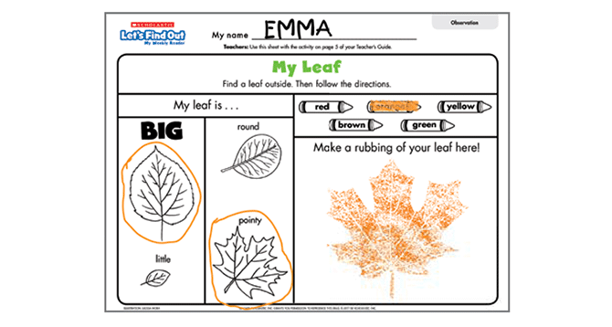 Example of a completed skill sheet